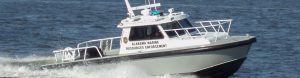 Silver Ships Endeavor Series